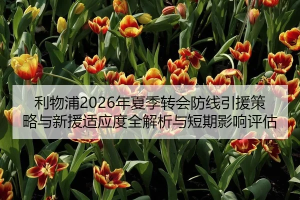 利物浦2026年夏季转会防线引援策略与新援适应度全解析与短期影响评估